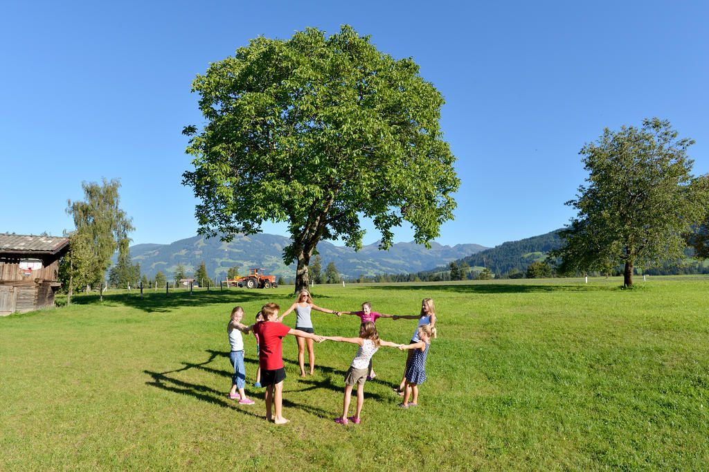 Ferienhaus Hinterebenhub Hopfgarten im Brixental Extérieur photo