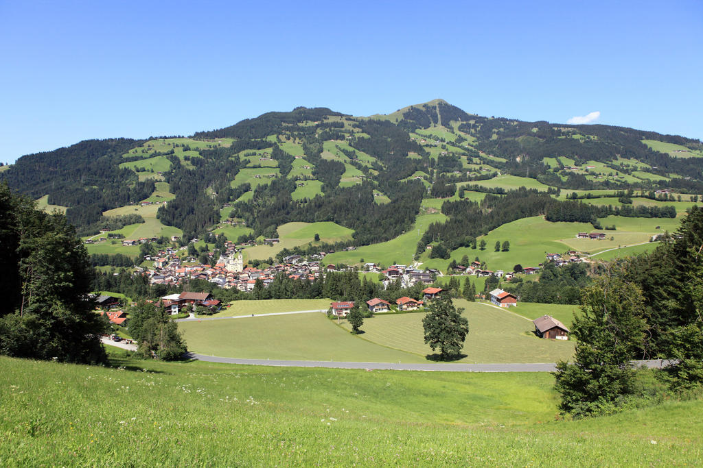 Ferienhaus Hinterebenhub Hopfgarten im Brixental Extérieur photo
